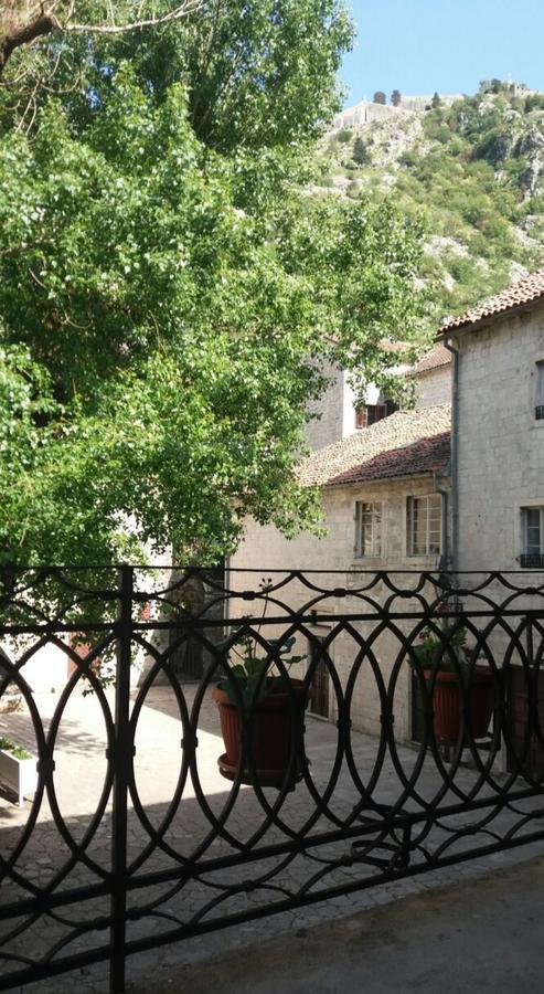 Guesthouse Nikoleta Κότορ Εξωτερικό φωτογραφία